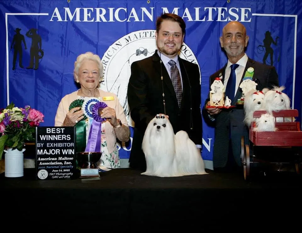 Estefania and Eric Wilcox — American Maltese Association National Specialty Best Winners